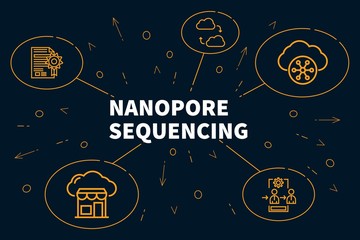 Conceptual business illustration with the words nanopore sequencing