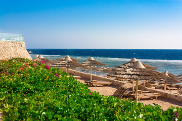 Straw umbrellas by the sea. Blue sky. Beach. A place for rest and relaxation. Egypt, Sharm el Sheikh. Winter. January. Empty beach. Green blooming flowers.