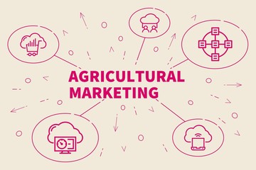 Conceptual business illustration with the words agricultural marketing