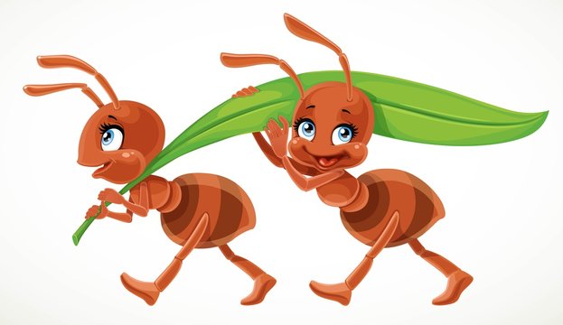 Two cute cartoon ant carry green juicy blade of grass isolated on a white background