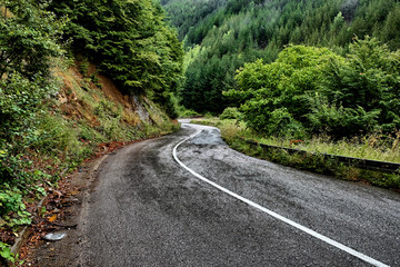 Windy Mountain Road After Rain, Serbia