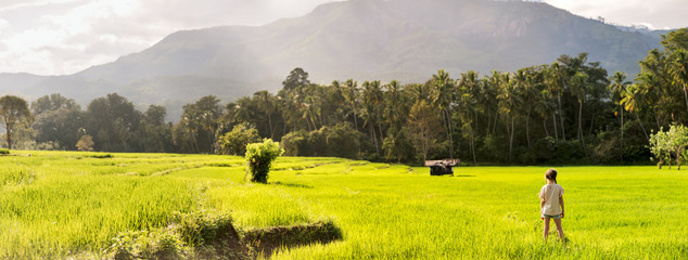 Adorable girl walking in rice field