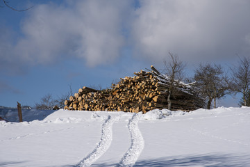 Holzstoss im Schnee