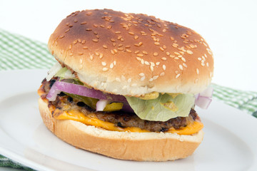 delicious cheese burger