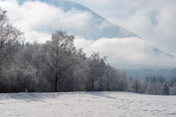Beautiful  frosty winterlandscape
