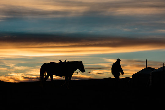 Silhouette of a Mongolian nomad leading his horse back to the family ger tent
