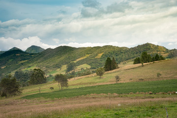 Fototapeta premium landscape with hill in Colombia