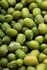 Green bean or mung bean background.Texture.Full depth focus.Top view
