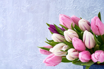 Pink and white tulips in vase. Bouquet. Copy space © Laima Gri