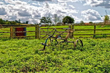 old traktor in the grass © Dmytro