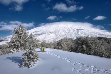 Fototapeta na wymiar Green Backpack In Winter Etna Park, Sicily