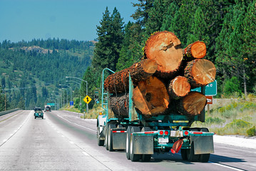 A lumber truck transporting a full load down the highway.
