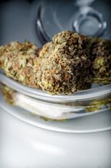 Cannabis Nug - Strain: Cheese Blower