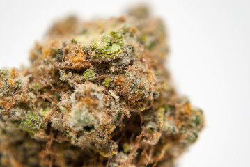 Cannabis Nug - Strain: Blue Dream X White Dawg