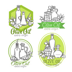 hand drawn sketch olives and olive oil