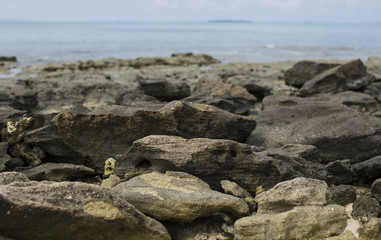 Seaside Strong