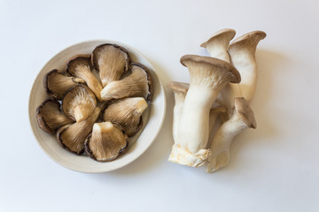 Collection of Pleurotus ostreatus Oyster Mushrooms and Pleurotus eryngii King Trumpet Mushrooms, isolated on white, edible, horizontal aspect