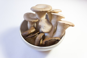 Overhead view of small white bowl of Pleurotus eryngii King Trumpet Mushrooms and Pleurotus ostreatus Oyster Mushrooms, isolated on white, food ingredients, horizontal aspect