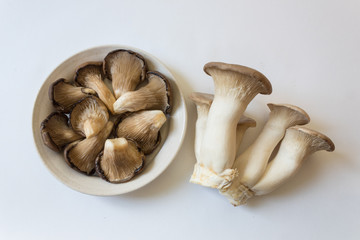 Pleurotus ostreatus Oyster Mushrooms and clumps of Pleurotus eryngii King Trumpet Mushrooms, isolated on white, centered, food ingredient, horizontal aspect
