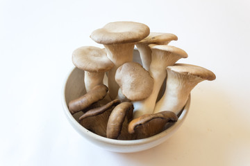 Small white bowl of Pleurotus eryngii King Trumpet Mushrooms and Pleurotus ostreatus Oyster Mushrooms, isolated on white, food ingredients, horizontal aspect