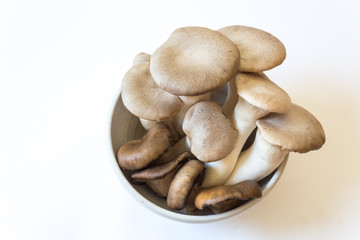 Top view of small white bowl of Pleurotus eryngii King Trumpet Mushrooms and Pleurotus ostreatus Oyster Mushrooms, isolated on white, horizontal aspect