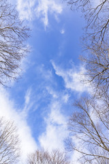 冬空のフレーム