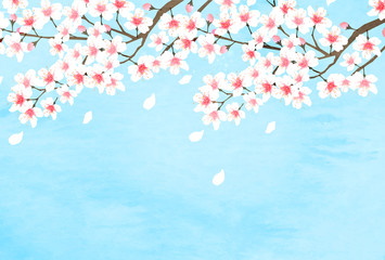 桜　春　花　背景 