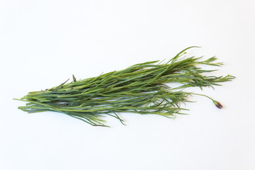 Overhead view of Pipicha Porophyllum linaria chepiche Mexican herb food ingredient, isolated on white, horizontal aspect