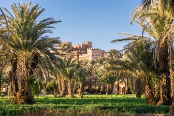 Old castle surrounded bu palm trees at Oasis campground at Agdz, Morocco