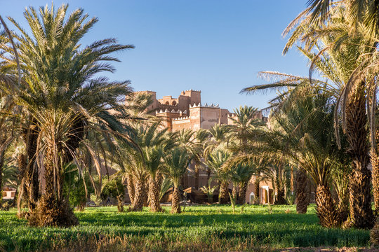 Old castle surrounded bu palm trees at Oasis campground at Agdz, Morocco