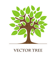 Tree logo design