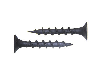 wood screw isolated on white background