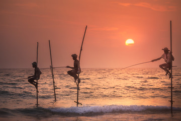 Traditional fishermen at the sunset, Sri Lanka.