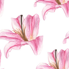 Seamless pattern with pink lilies on white background. Watercolor illustration.