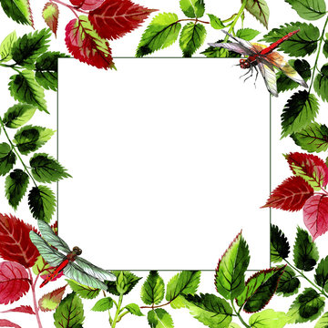 Leaves of rose frame in a watercolor style. Aquarelle leaf for background, texture, wrapper pattern, frame or border.