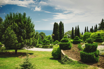 Botanical garden against the sea.