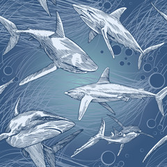 Shark Vector Pattern with hand drawn underwater Sea Fish, Contemporary Background and print design - 191951604
