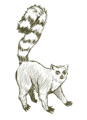 Illustration of animal © Rawpixel.com