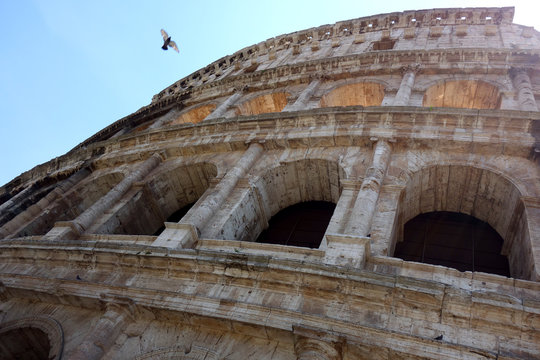 イタリア ローマ コロッセオ外観と鳥 Italy Roma Colosseo and bird