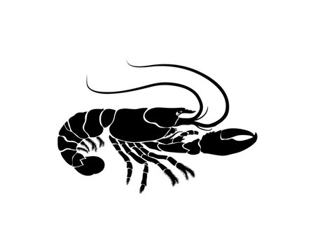 Cooking Seafood Black Lobster for Restaurant Illustration Symbol Logo Vector