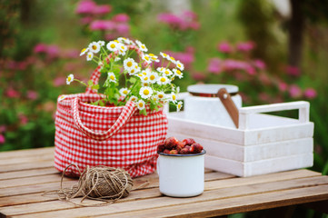 june or july garden scene with fresh picked organic wild strawberry and chamomile flowers on wooden table outdoor. Summertime still life, healthy country living on farm concept