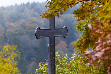 Herbstimpressionen aus dem Selketal im Harz Mägdetrappe