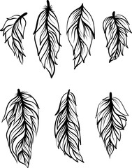 black and white decorative feathers