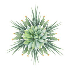 Watercolor vector round mandala of cacti and succulent plants isolated on white background.
