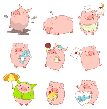 Collection of cute pigs