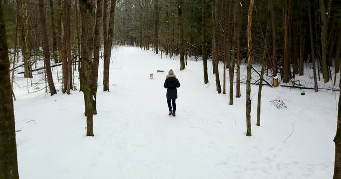 Following drone shot of a young woman walking with her dog in a snowy forest.  4K.