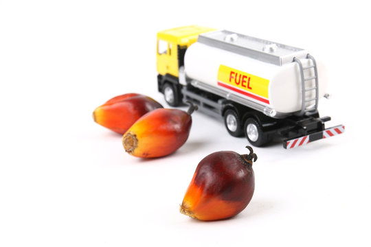 Concept of palm oil biofuel using oil palm fruitlets and toy tanker truck