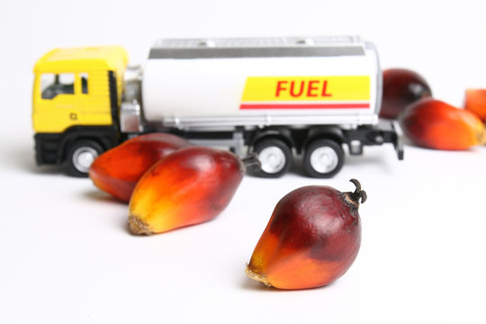 Concept of palm oil biofuel using oil palm fruitlets and toy tanker truck