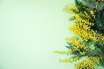 Bouquet of mimosa flowers on green background. International Women Day. Top view, flat lay