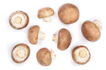 Fresh champignon mushrooms isolated on white background. Top view. Flat lay